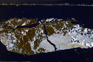 Cross Polarized, E24985