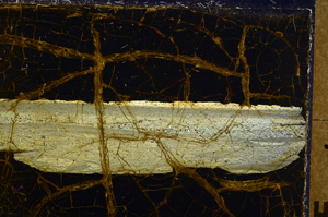 Cross Polarized, E24992