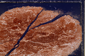 Cross Polarized, E24994