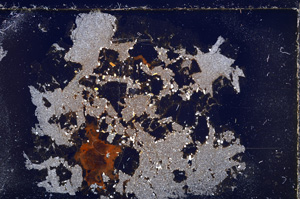 Cross Polarized, E24999