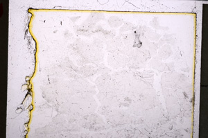 Plane Polarized, E25008