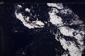 Cross Polarized, E25009