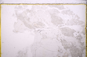 Plane Polarized, E25009