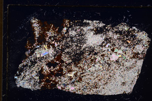 Cross Polarized, E25010