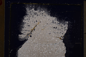 Cross Polarized, E25011