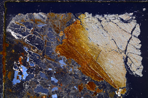 Cross Polarized, E25012