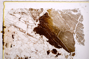 Plane Polarized, E25012