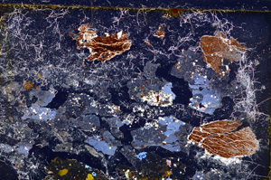 Cross Polarized, E25013