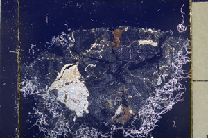 Cross Polarized, E25015