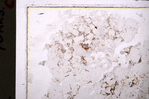 Plane Polarized, E25016