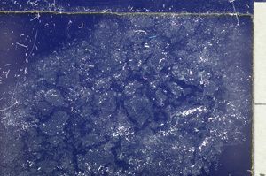 Cross Polarized, E25018