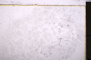 Plane Polarized, E25018