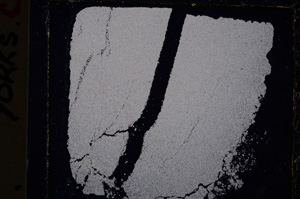 Cross Polarized, E25019