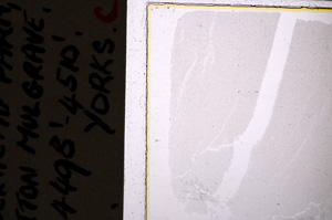 Plane Polarized, E25019