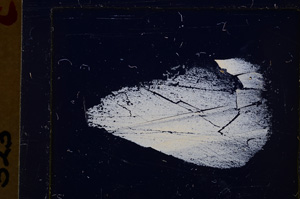 Cross Polarized, E25021