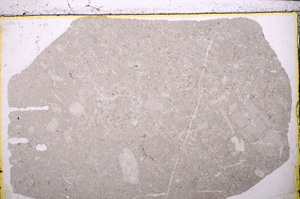 Plane Polarized, E25024