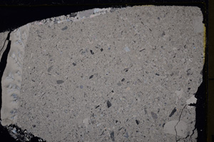 Cross Polarized, E25025