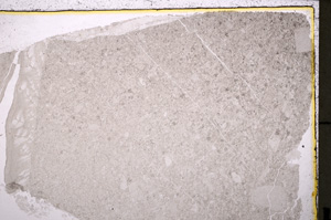 Plane Polarized, E25025