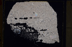 Cross Polarized, E25026