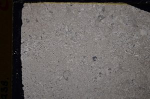 Cross Polarized, E25028