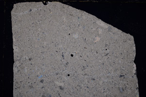 Cross Polarized, E25029