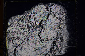 Cross Polarized, E25038