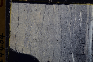 Cross Polarized, E25041