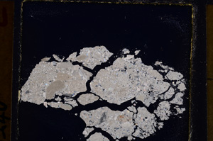 Cross Polarized, E25044