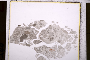 Plane Polarized, E25044