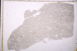 Plane Polarized, E25045