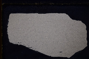 Cross Polarized, E25046