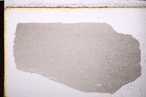 Plane Polarized, E25046