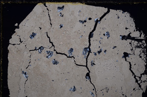 Cross Polarized, E25047