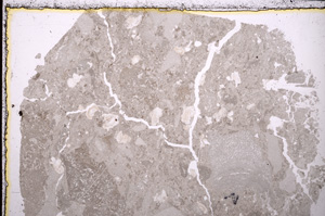 Plane Polarized, E25047