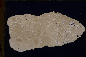 Cross Polarized, E25049