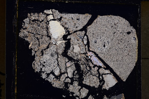 Cross Polarized, E25050