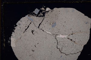 Cross Polarized, E25051