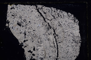 Cross Polarized, E25062