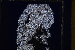 Cross Polarized, E25063