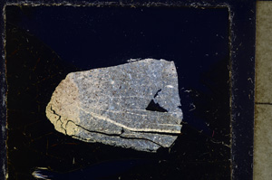 Cross Polarized, E25067