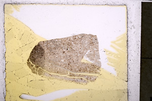 Plane Polarized, E25067