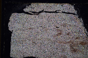 Cross Polarized, E25070