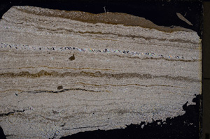 Cross Polarized, E25071