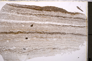 Plane Polarized, E25071