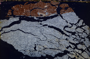 Cross Polarized, E25072