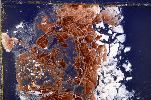 Cross Polarized, E25073