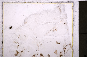 Plane Polarized, E25075