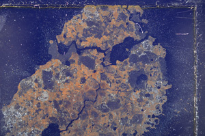 Cross Polarized, E25077