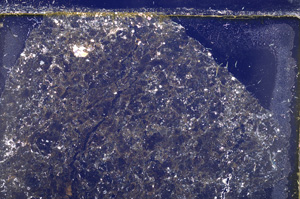 Cross Polarized, E25078