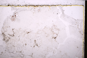 Plane Polarized, E25079